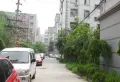 向阳花园小区图片1