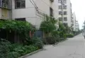 丽豪小区小区图片22