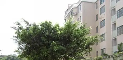 新凤城商务中心-杨浦区周家嘴路本溪路61号