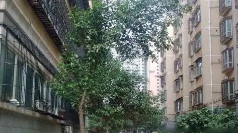 经一路小区-金水区经三路经一路