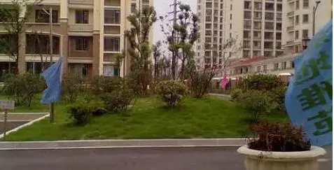 新地雅苑小区图片8