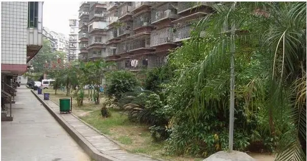 轻纺宿舍小区图片1