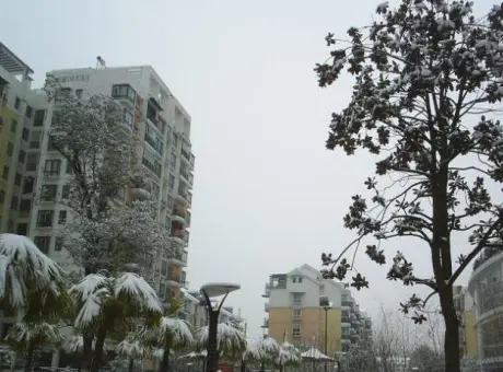 东方名都-北仑区北仑周边劳动路21号