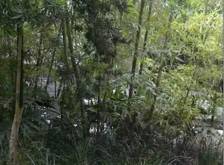 水泥厂家属院-城关区五泉广场祁连山酒泉路力行新村3-39号