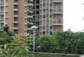 旭日华庭小区图片11