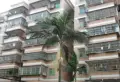 江湾西一苑小区图片1