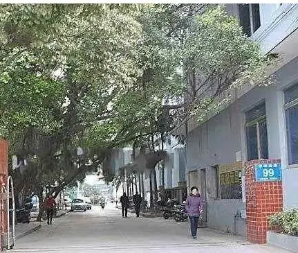 东煌广场-鲤城区城中义全街与温陵路交叉口