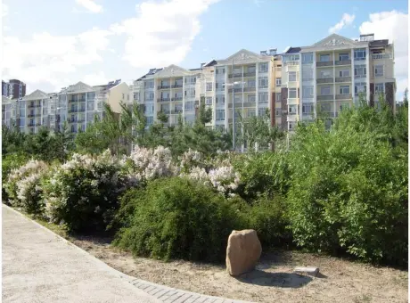 湖滨教师花园-萨尔图区东风新村滨湖北路附近