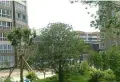 常绿林溪谷小区图片4