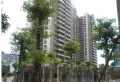 天河山海观小区图片5