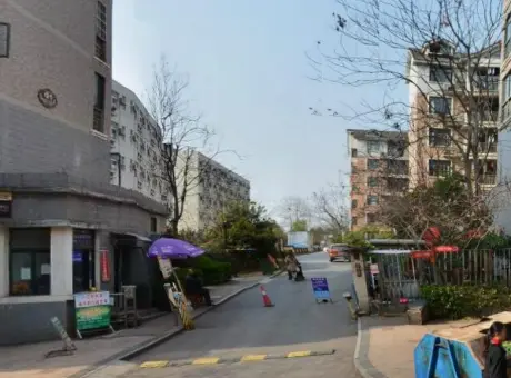 凤凰花园二期-江夏区藏龙岛江夏关凤大道九凤城市公园正对面