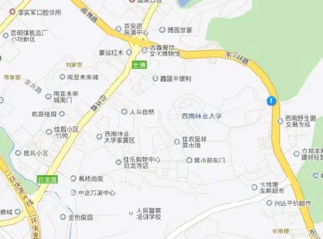 理工大职工宿舍-盘龙区白龙路片区白龙路