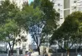 青山南路监狱局宿舍小区图片1