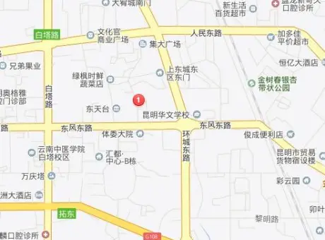 化工厅宿舍-盘龙区拓东东风东路118号