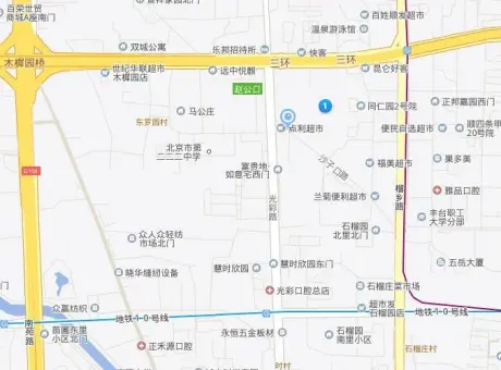 同仁堂宿舍-丰台区刘家窑刘家窑同仁堂宿舍