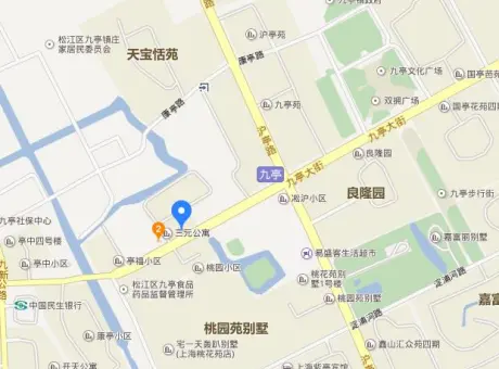 桃圆小区-松江区九亭九亭大街路569弄