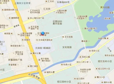 双阳路38弄-杨浦区周家嘴路双阳路38弄