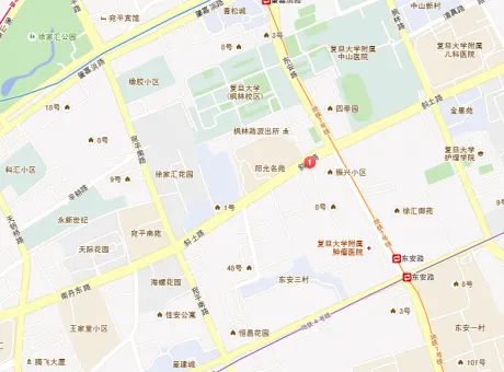 东振小区-徐汇区斜土路斜土路2060弄1-3