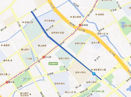 枣庄路-浦东新区金杨新村枣庄路