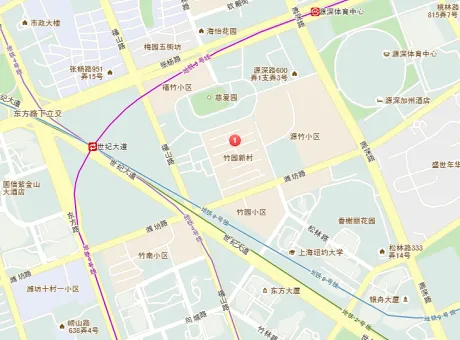 竹园新村600弄2支弄-浦东新区潍坊竹园新村600弄2支弄