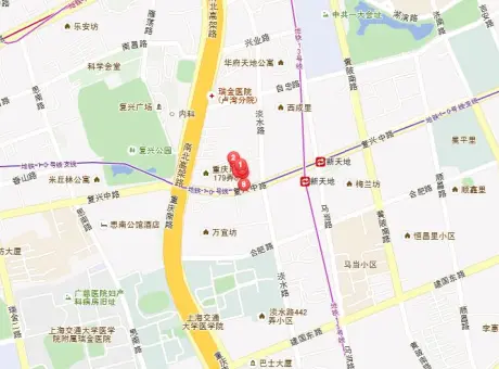 复兴中路480弄-卢湾区新天地复兴中路480弄