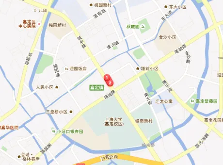 精门社区-嘉定区嘉定城区城中路555号