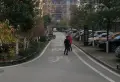 高盛澧园小区图片7