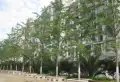 南片区阳光花园御园证满两年大平层单元房诚心出售6