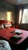 新昌县|磕下村3室0厅2卫出租