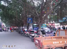 自流井区|灯杆坝-室-厅-卫出售|买房租房佣金全返