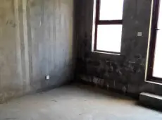 南昌县|绿地兰宫5室2厅3卫出售