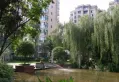 金雁蔚蓝丽景户型图
