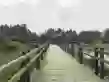 金雁欢乐水岸户型图