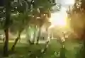 香邑澜湾楼盘图1