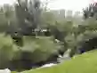 金雁欢乐水岸户型图