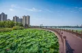 恒大首府户型图9
