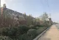 龙山希思庄园楼盘图62