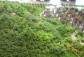 水发和山楼盘图6