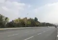 龙山希思庄园楼盘图57