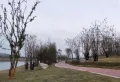 淮矿绿城·中湖明月楼盘图19