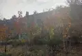 龙山希思庄园楼盘图31