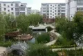 水雲间楼盘图43