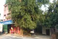 恒大林语墅楼盘图16