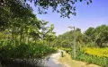 梦马都户型图39