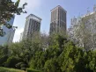 舜兴东方户型图96