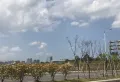 新力东园楼盘图103