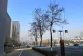 金科东方博翠楼盘图73