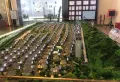 恒大林语墅楼盘图10