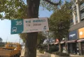 城泰枫华天成楼盘图77