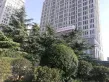 舜兴东方户型图149